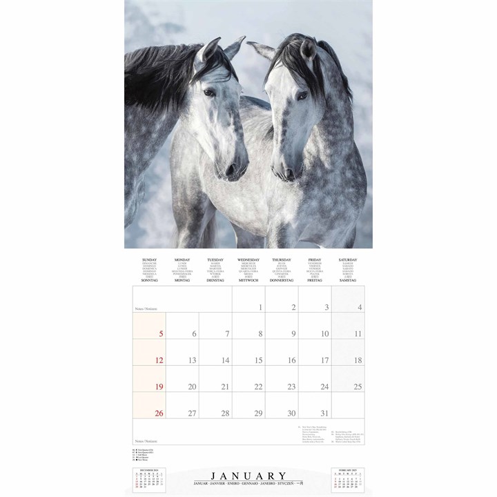 Magic Horses Calendar 2025