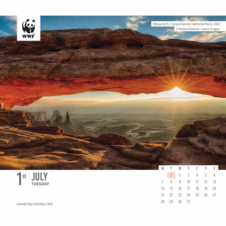 WWF, Natural World Desk Calendar 2025