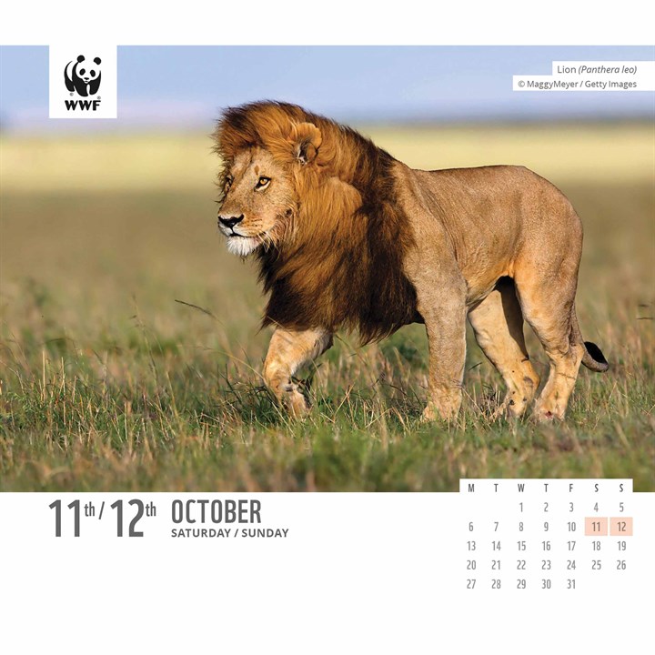 WWF, Natural World Desk Calendar 2025