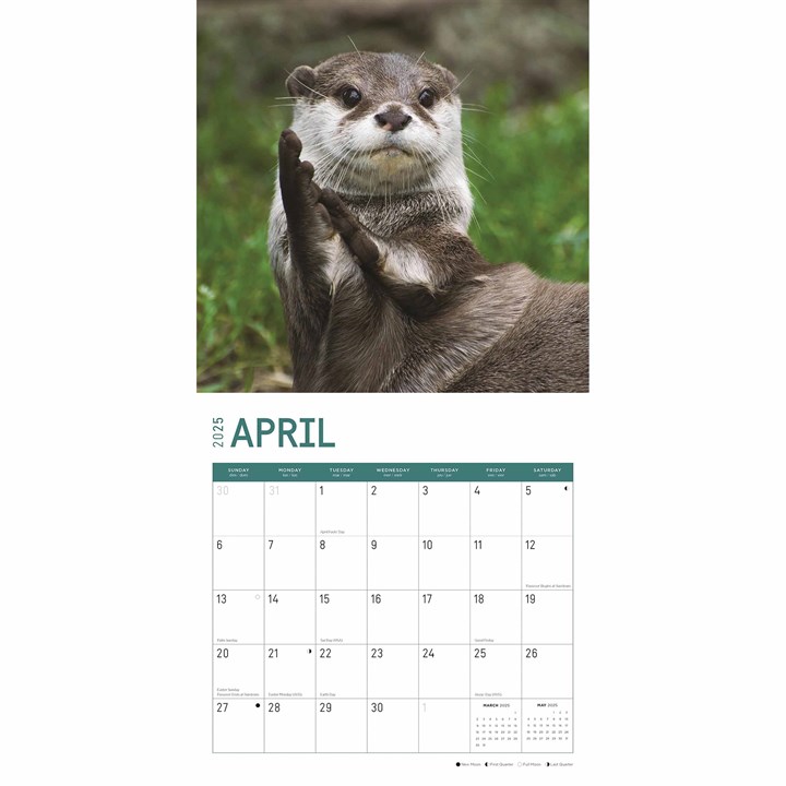 Otters Calendar 2025