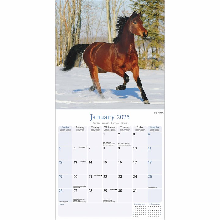 Horses Calendar 2025