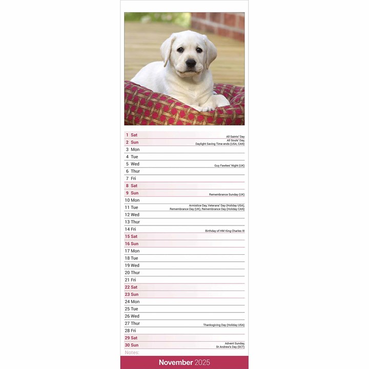 Yellow Labrador Retriever Slim Calendar 2025