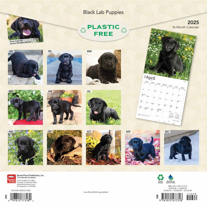 Black Lab Puppies Calendar 2025