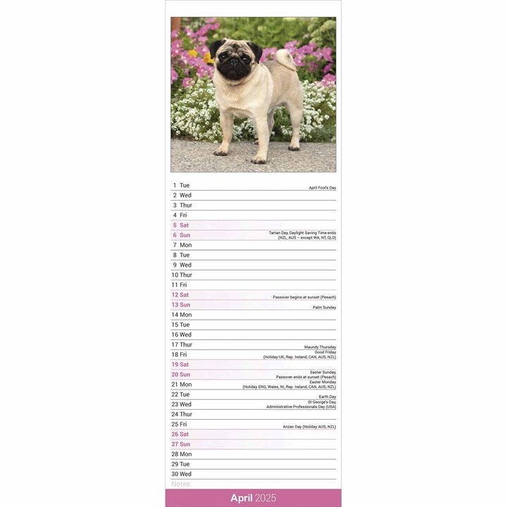 Pug Slim Calendar 2025