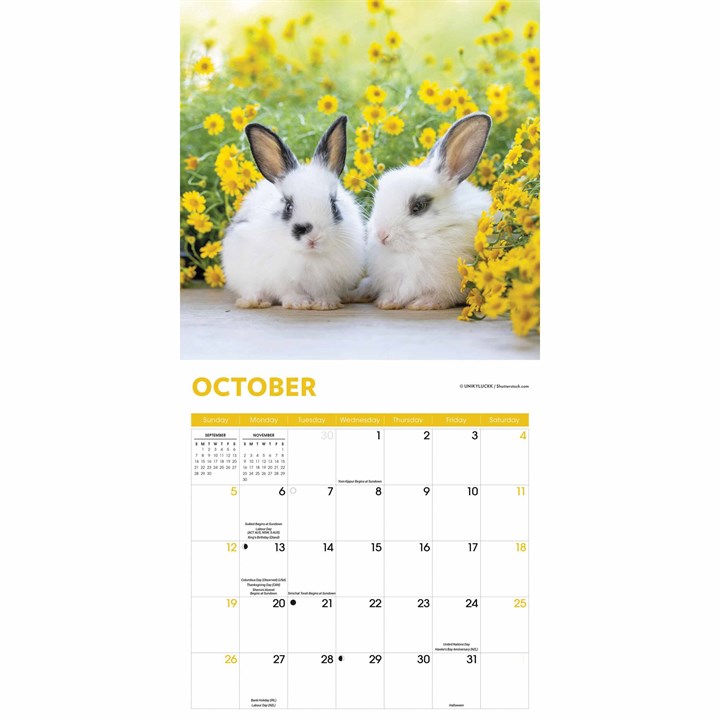 Rabbits Calendar 2025