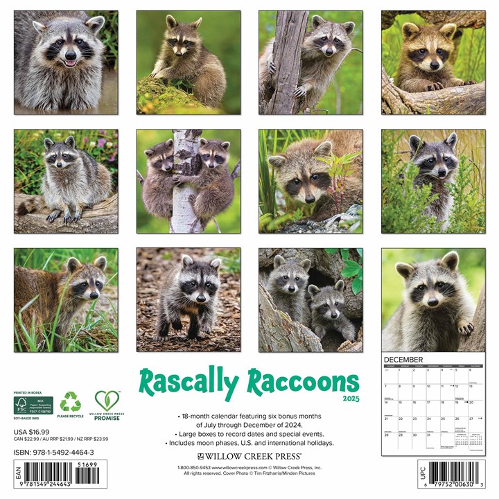 Rascally Raccoons Calendar 2025