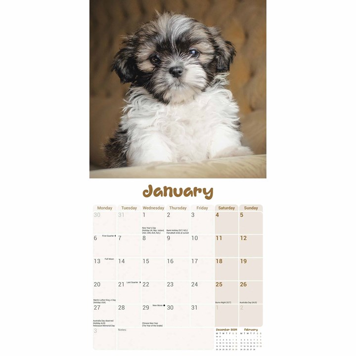 Shih Tzu Puppies Mini Calendar 2025