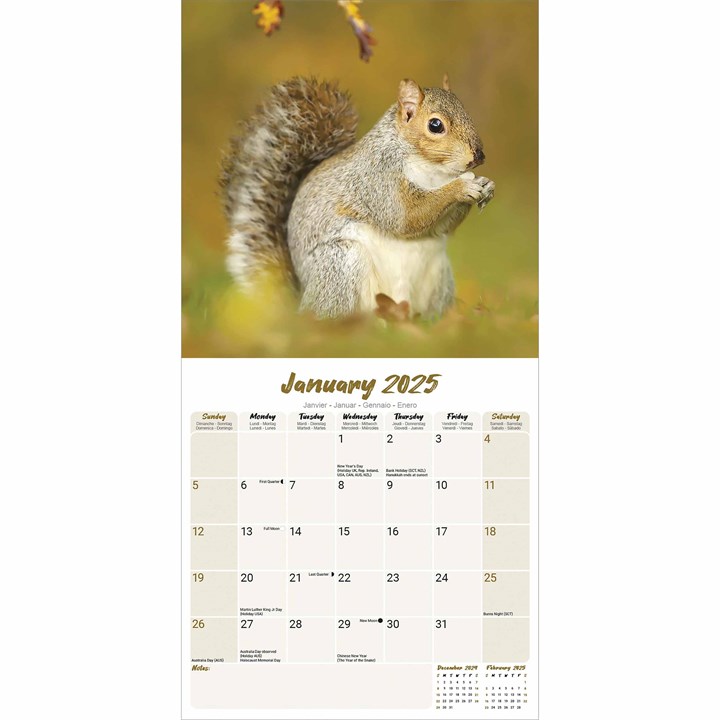 Squirrels Calendar 2025