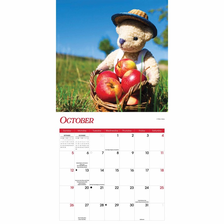 Teddy Bears Calendar 2025