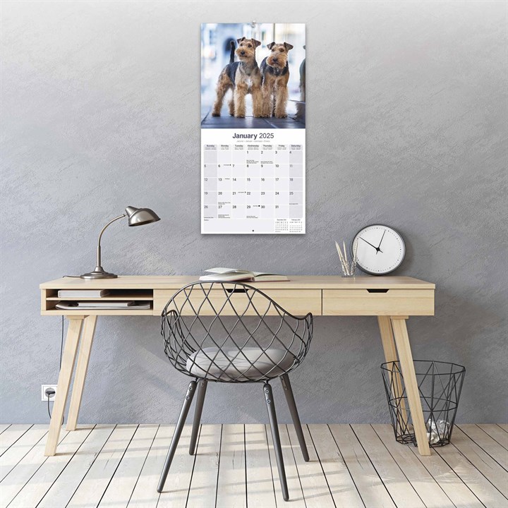 Welsh Terrier Calendar 2025