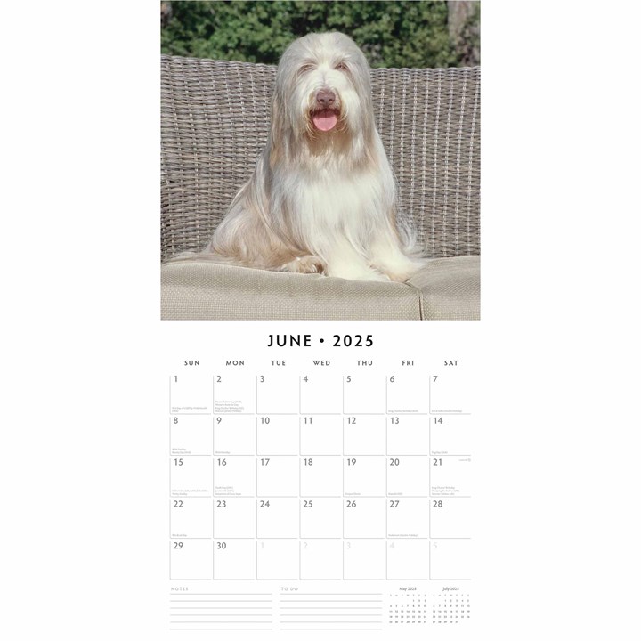 Bearded Collies Calendar 2025