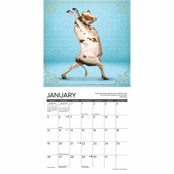 Cow Yoga Mini Calendar 2025