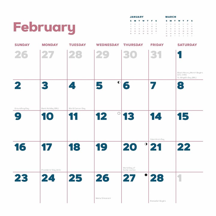 Catffirmations Calendar 2025