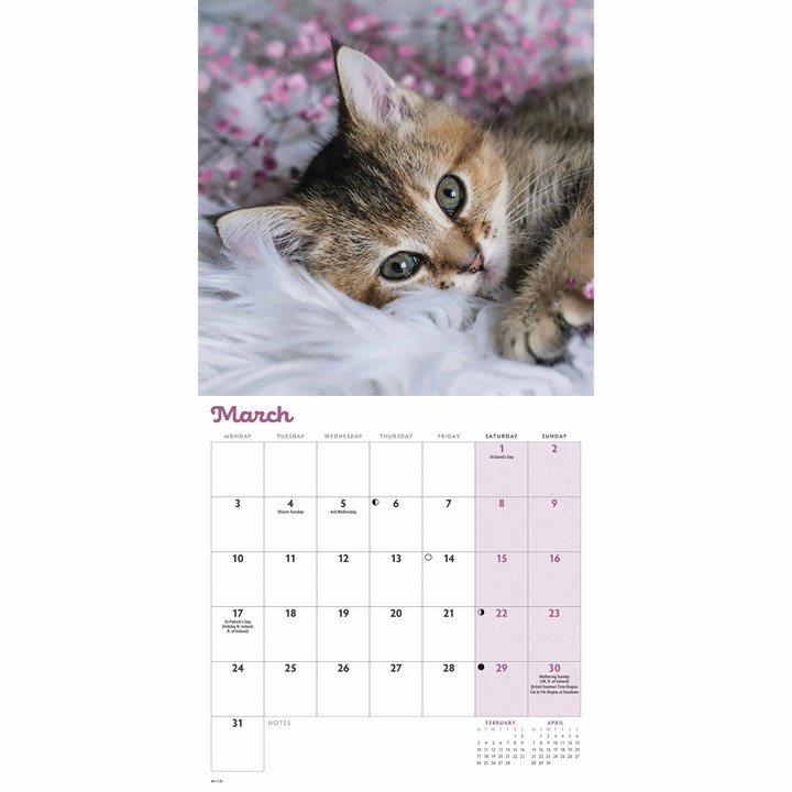 Kittens Mini Calendar 2025