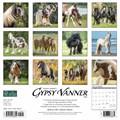 Gypsy Vanner Horse Calendar 2024