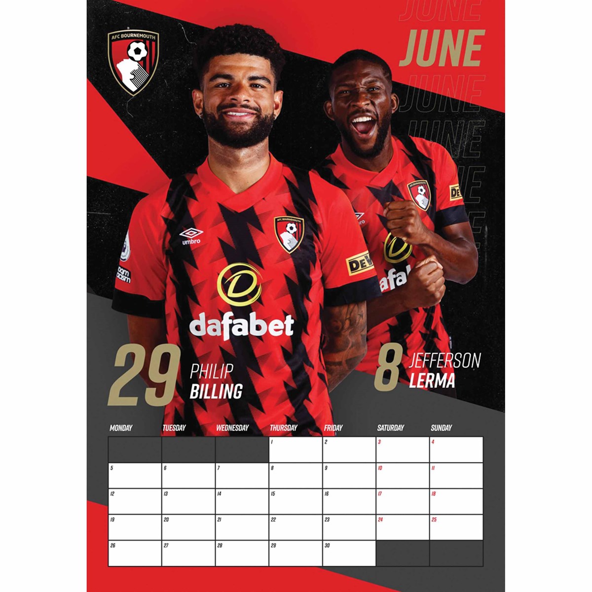 AFC Bournemouth 22/23 Squad Player Montage Poster, 41% OFF