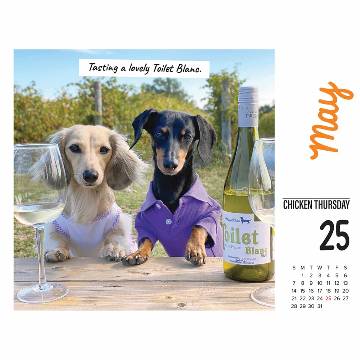 Crusoe The Dachshund Desk Calendar 2023