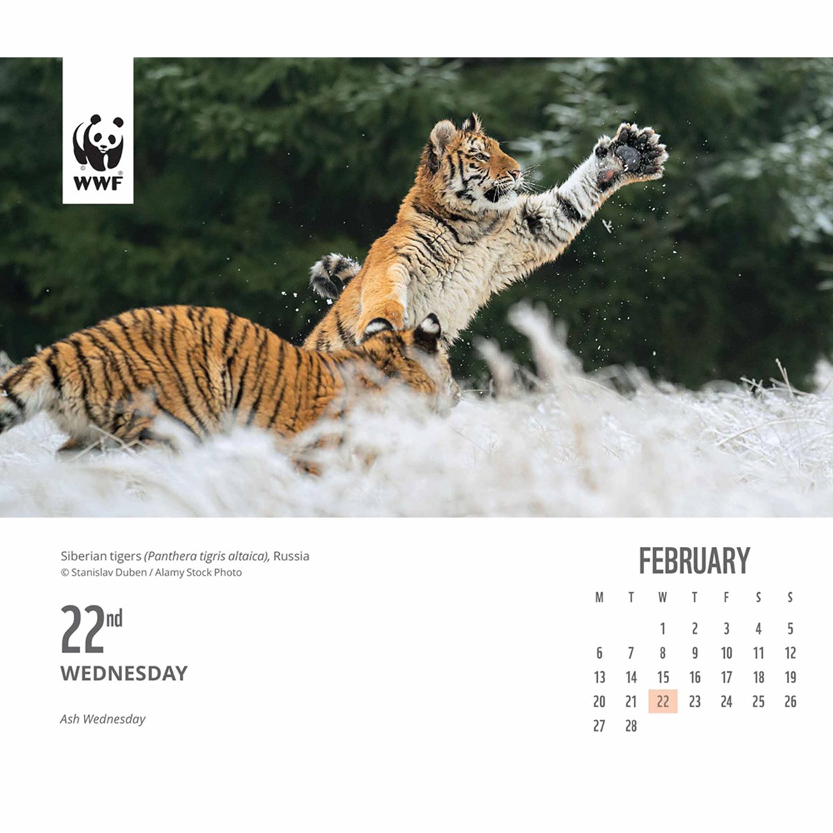 WWF, Natural World Desk Calendar 2023