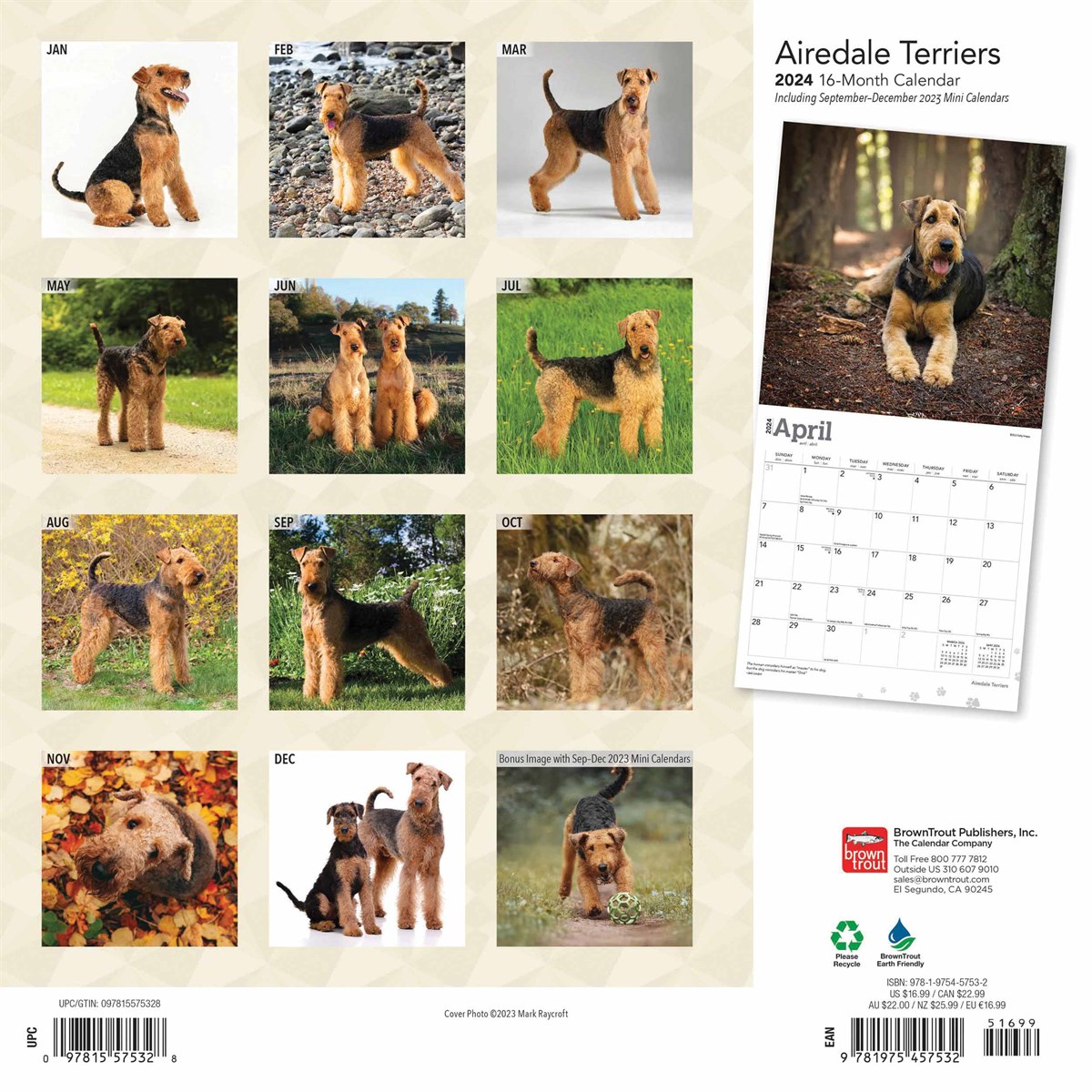 Airedale Terriers Calendar 2024