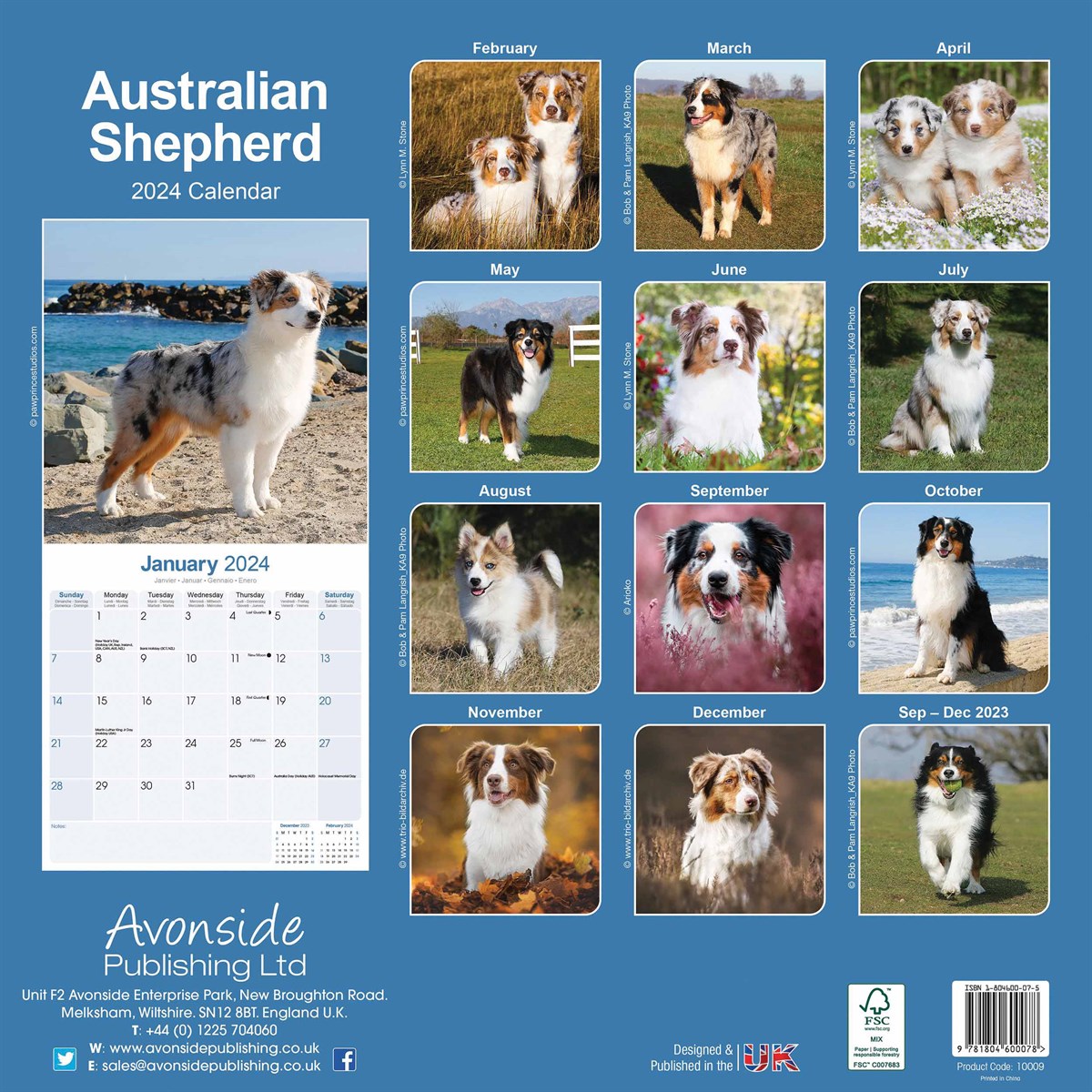 Australian Shepherd Calendar 2024