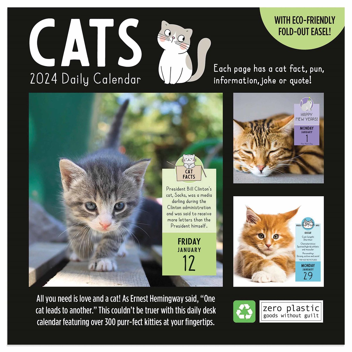 Cat A Day Desk Calendar 2024