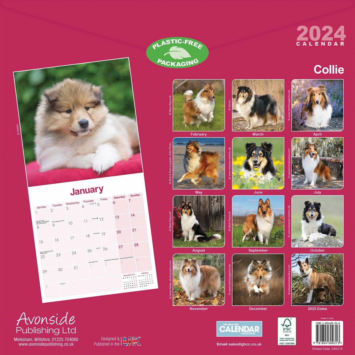 Collie Calendar 2024