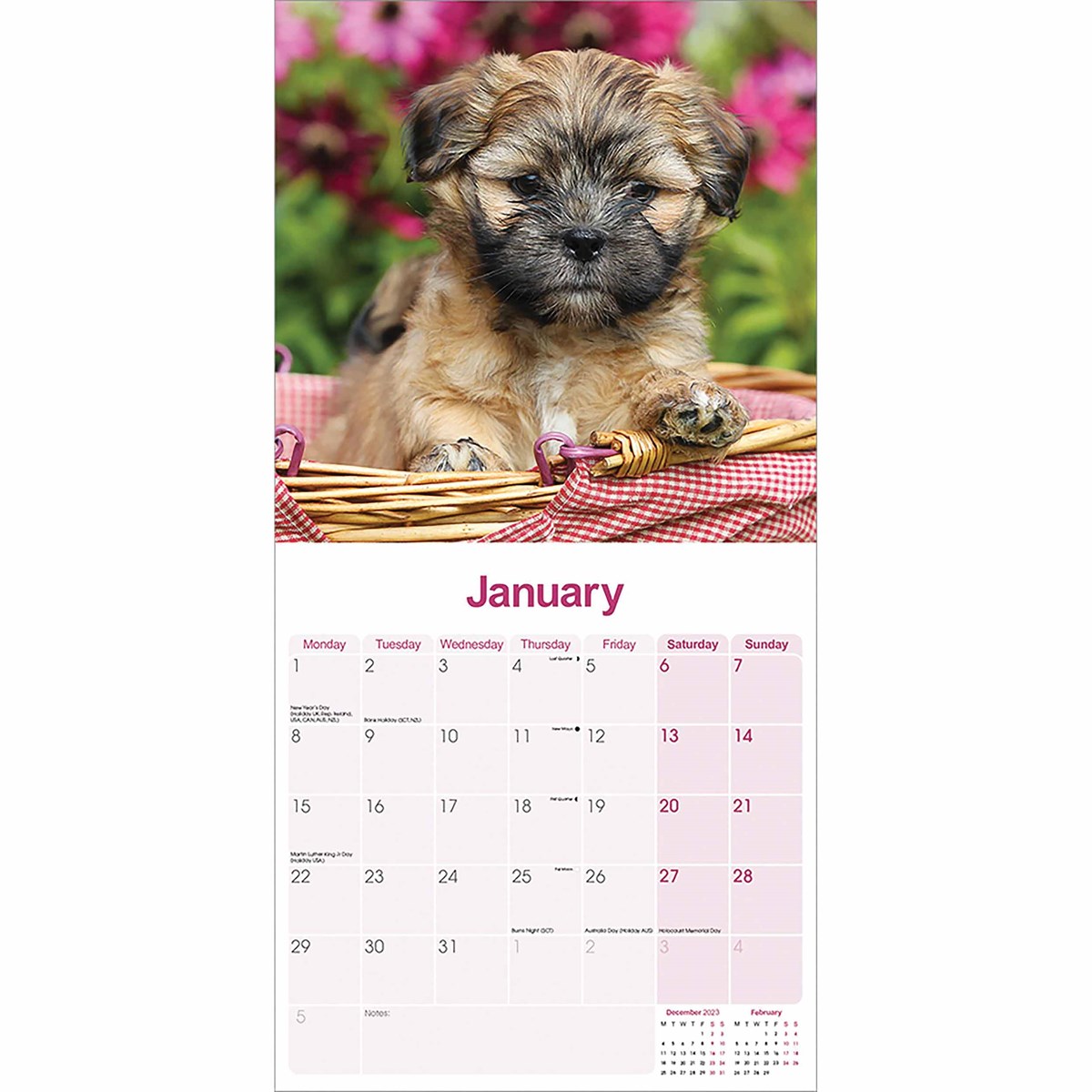 Lhasa Apso Calendar 2024