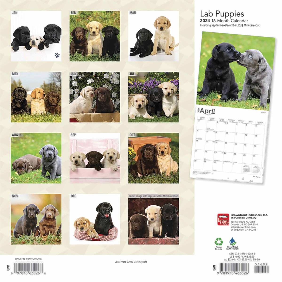 Lab Puppies Calendar 2024