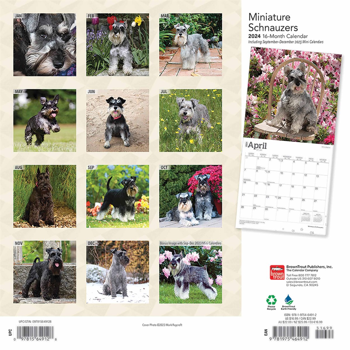 Miniature Schnauzers Calendar 2024