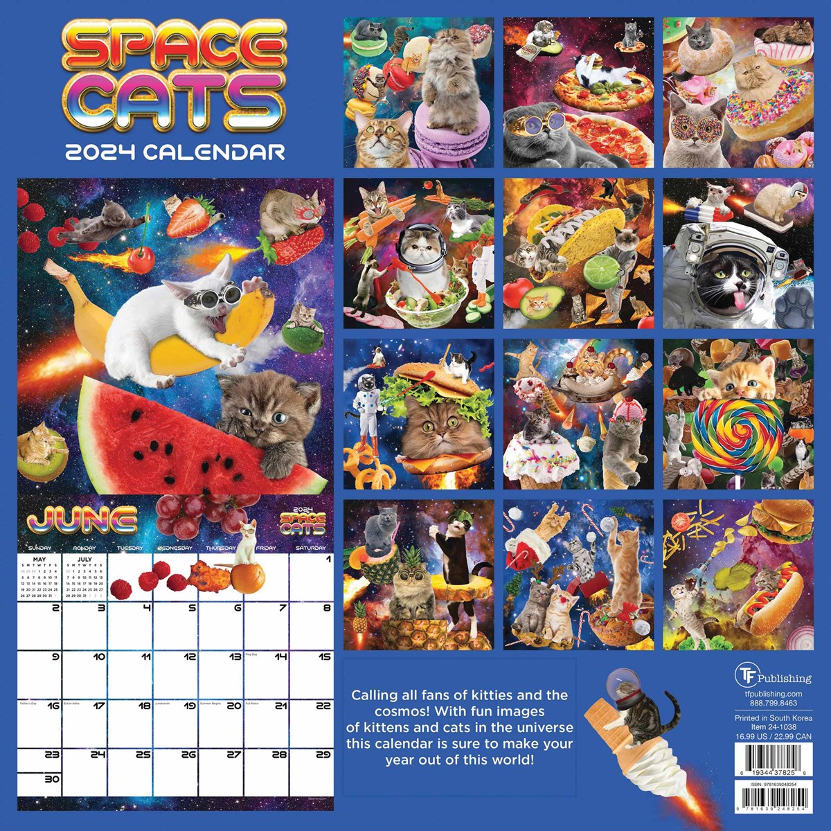 Space Cats Calendar 2024