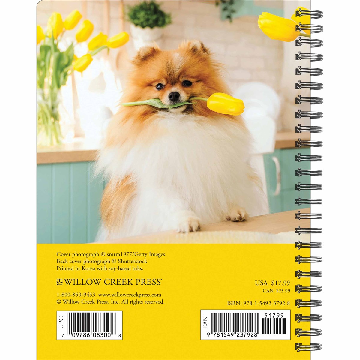 What Dogs Teach Us A5 Diary 2024