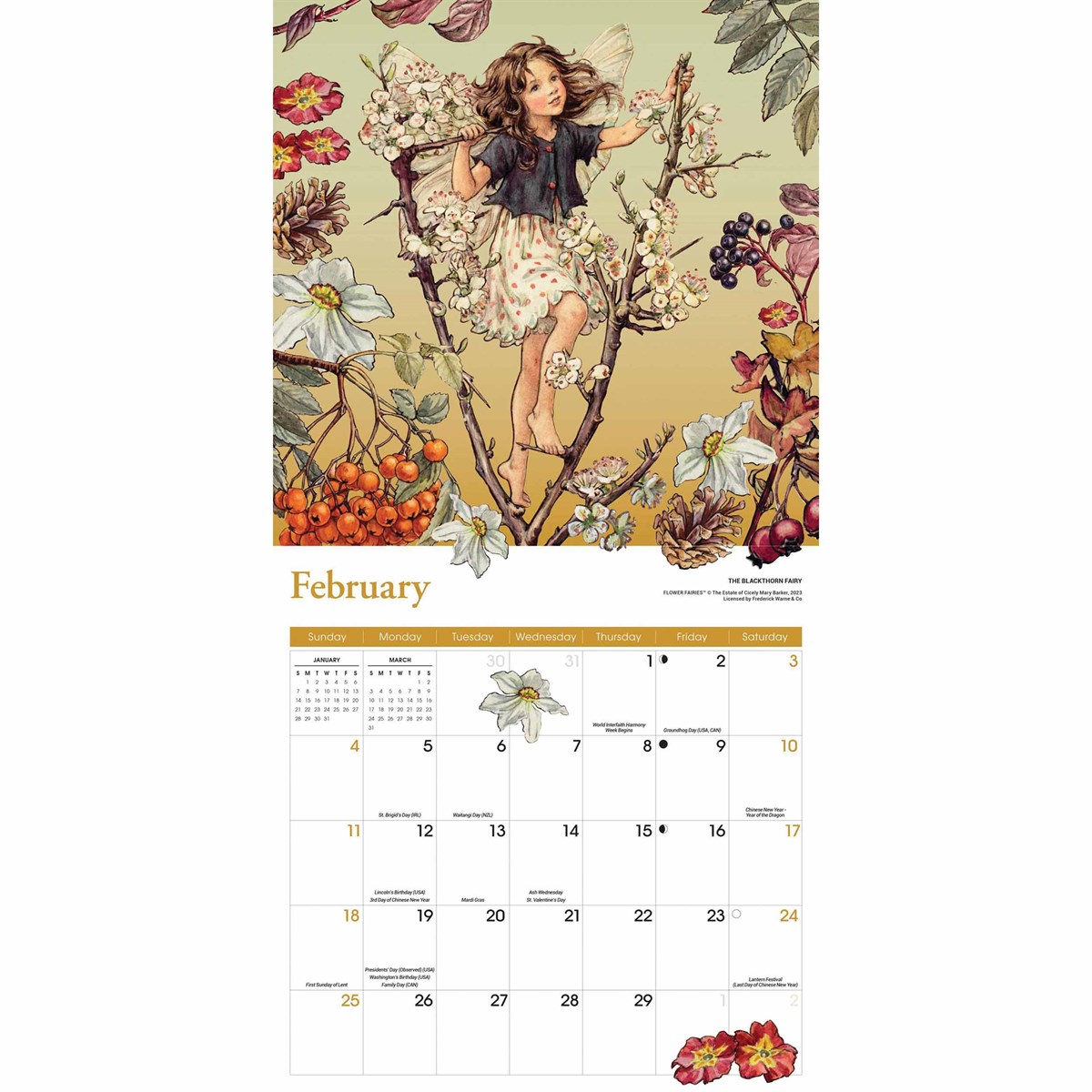 Flower Fairies Calendar 2024