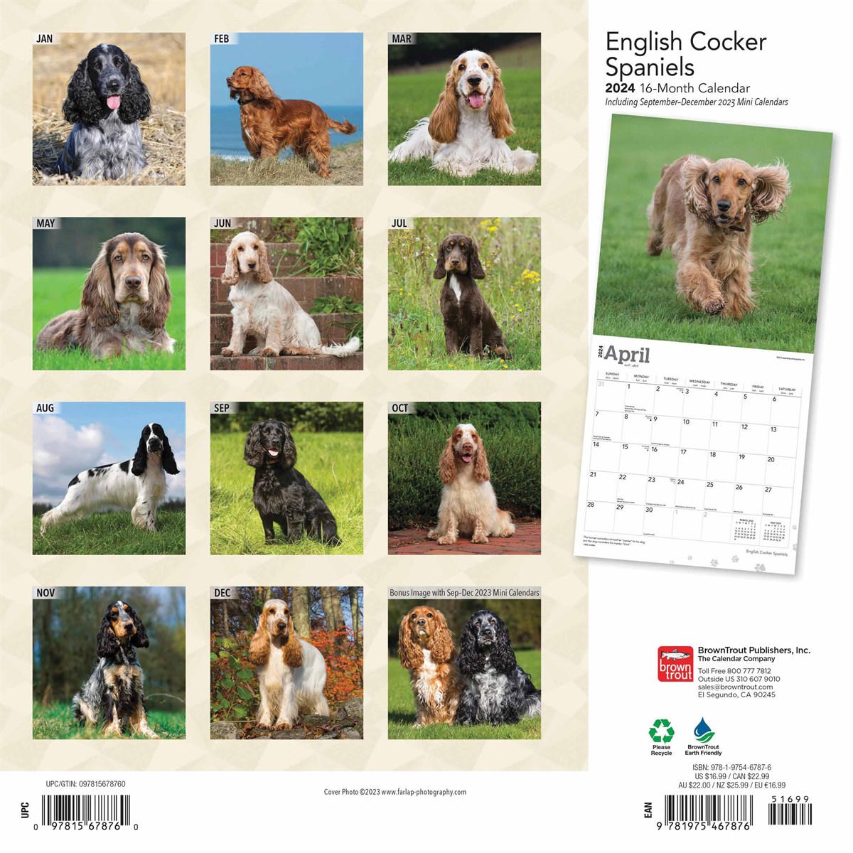 English Cocker Spaniels Calendar 2024