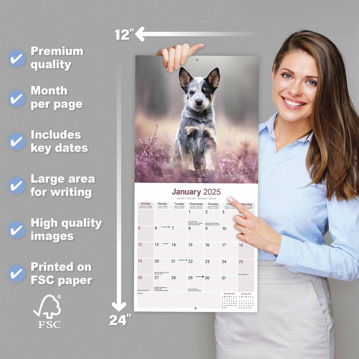 Australian Cattle Dog Calendar 2025