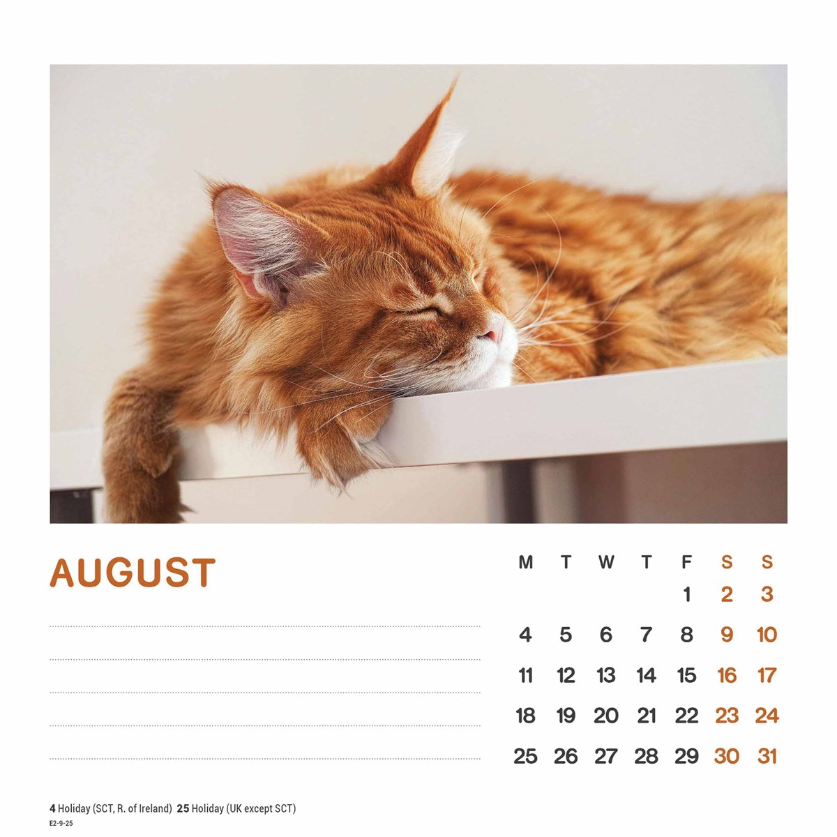 Cat Naps Easel Desk Calendar 2025