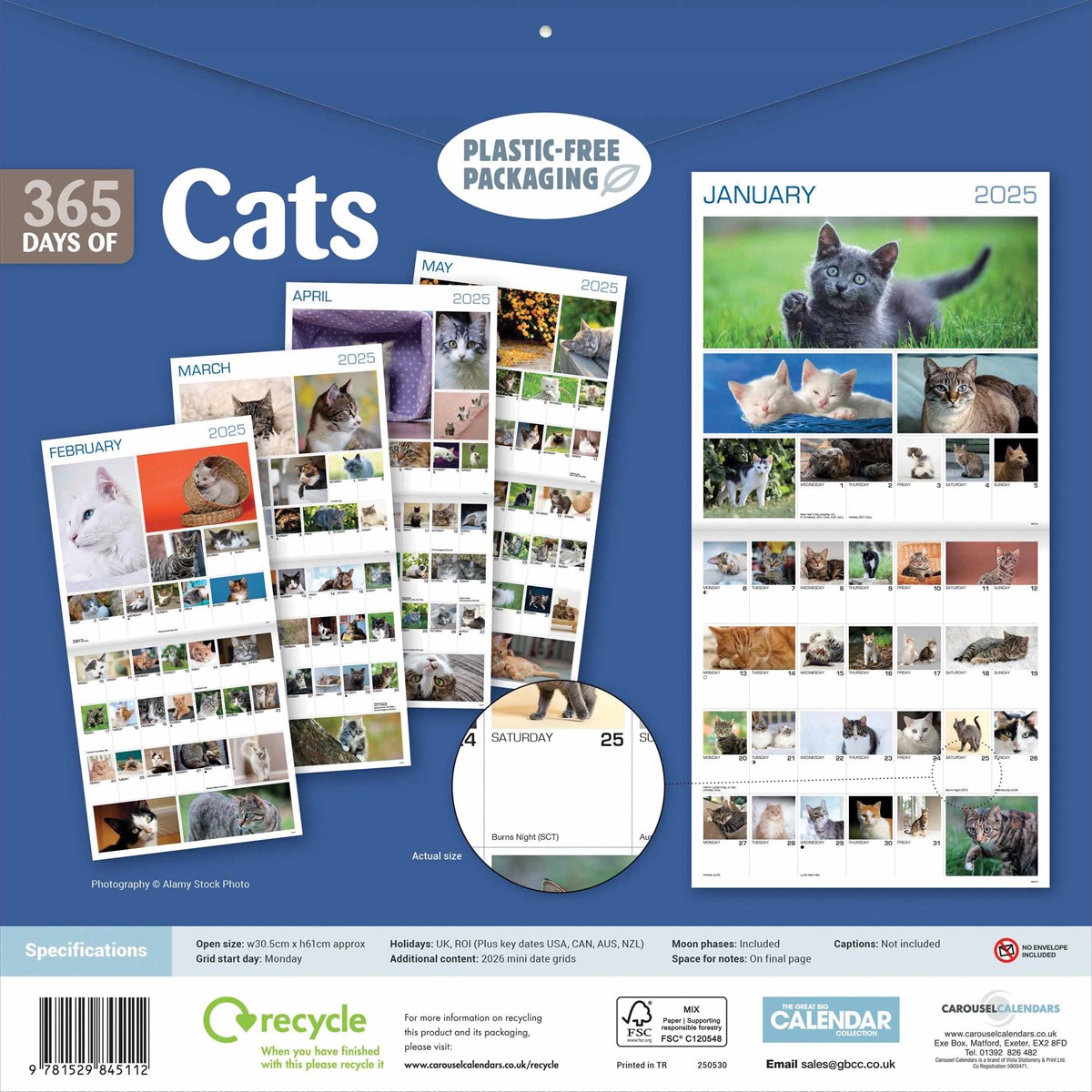 365 Days Of Cats Calendar 2025