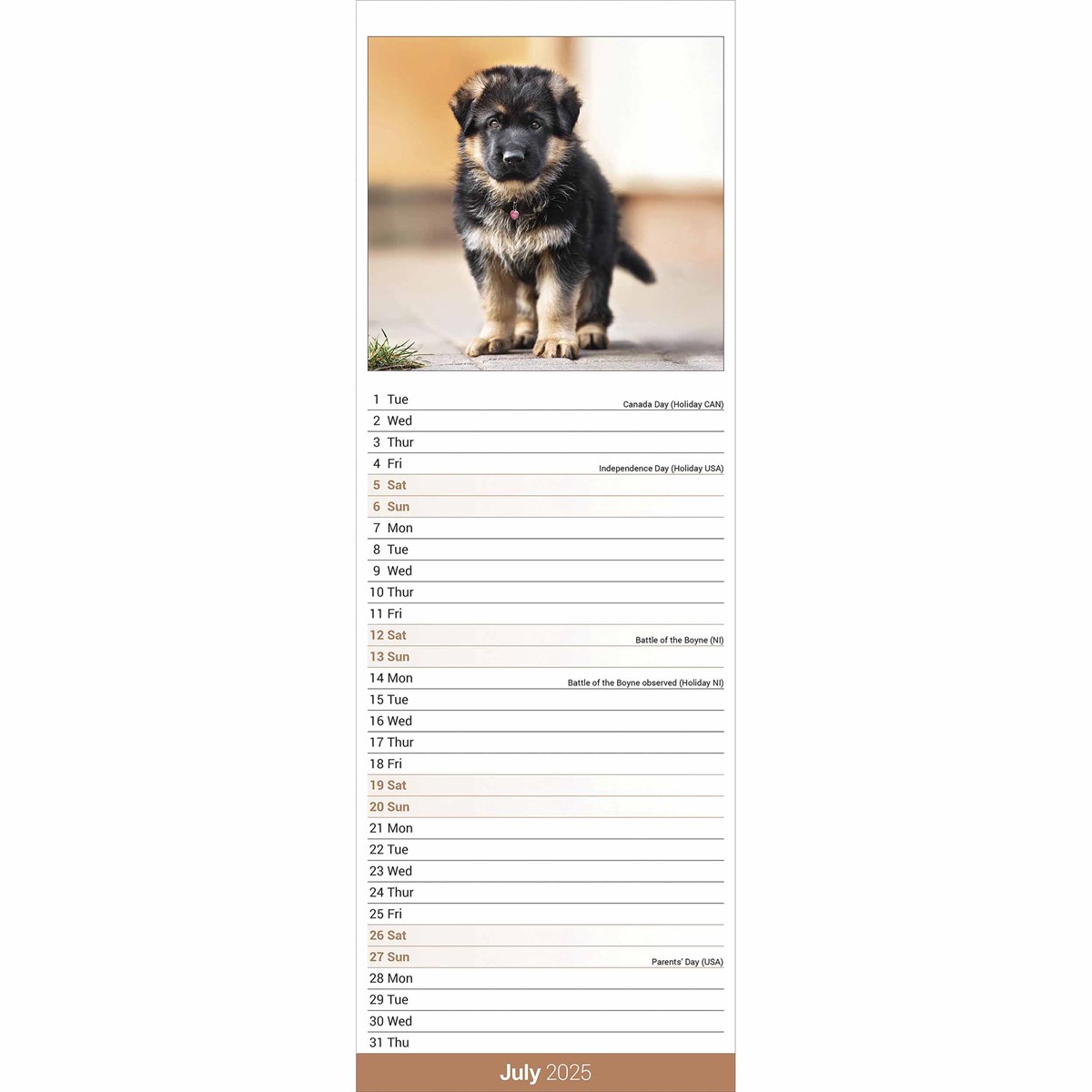 German Shepherd Slim Calendar 2025