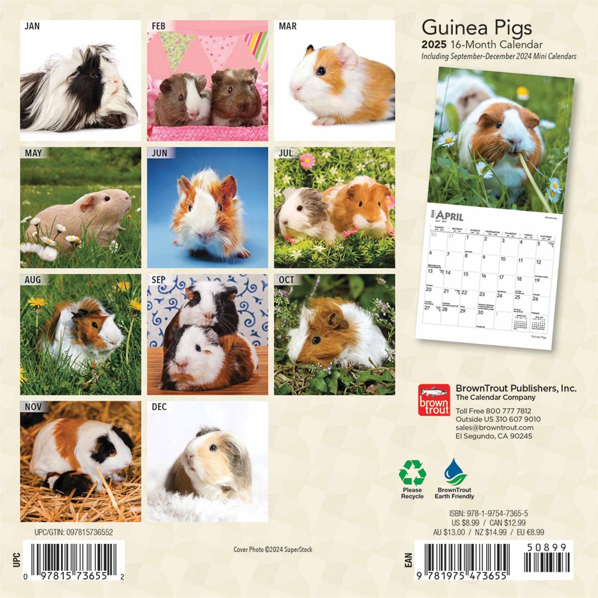 Guinea Pigs Mini Calendar 2025