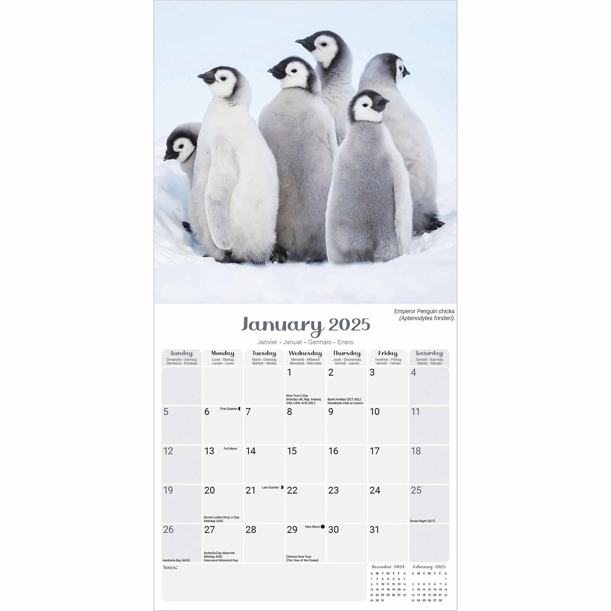 Penguins Calendar 2025