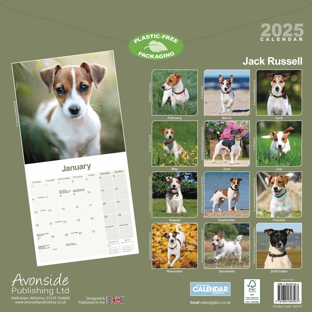 Jack Russell Calendar 2025