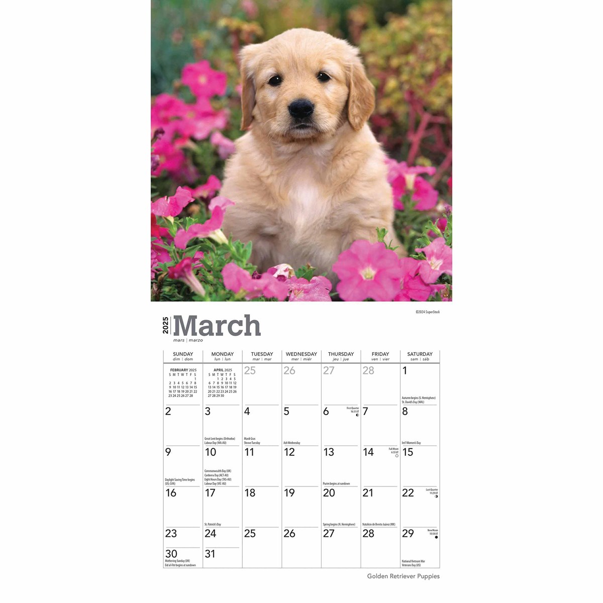 Golden Retriever Puppies Mini Calendar 2025