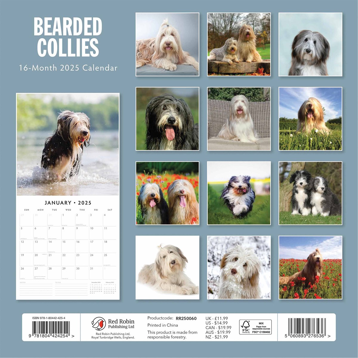 Bearded Collies Calendar 2025