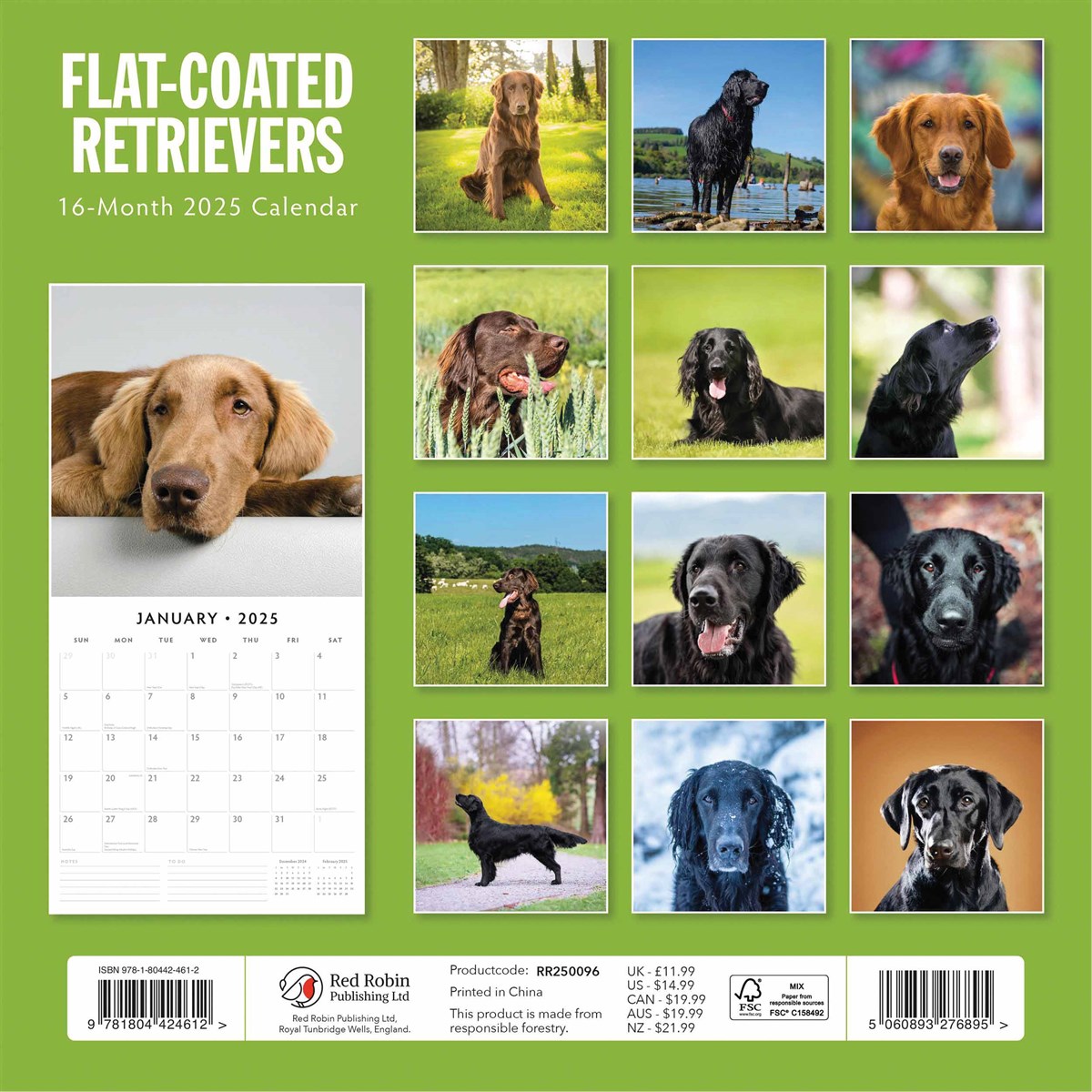 Flat Coated Retrievers Calendar 2025