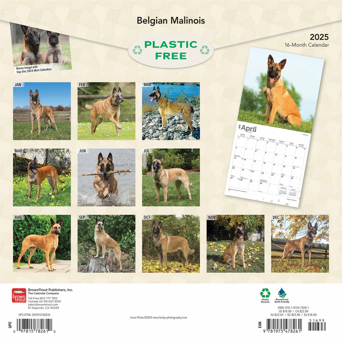 Belgian Malinois Calendar 2025