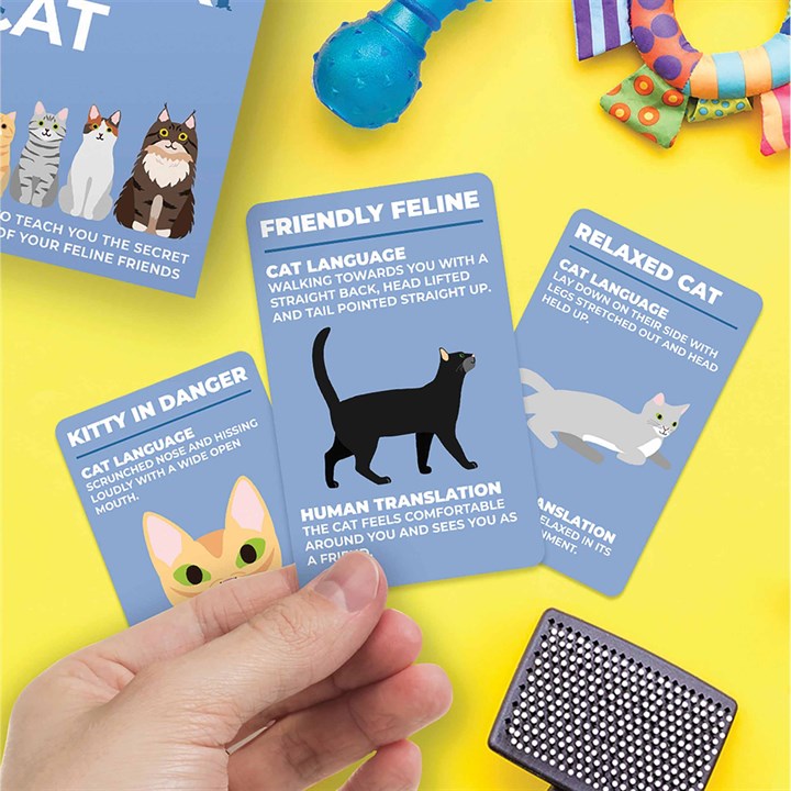 How To Speak Cat Cards