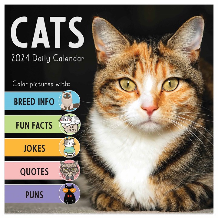 Cat A Day Desk Calendar 2024