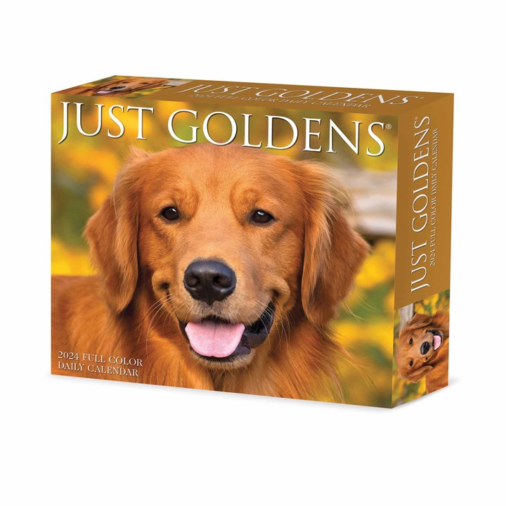 Just Goldens Desk Calendar 2024