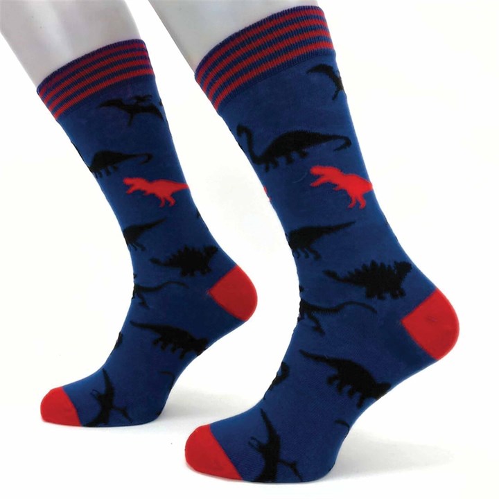 Dinosaur Socks - Size 7 - 11