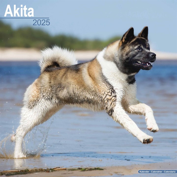 Akita Calendar 2025