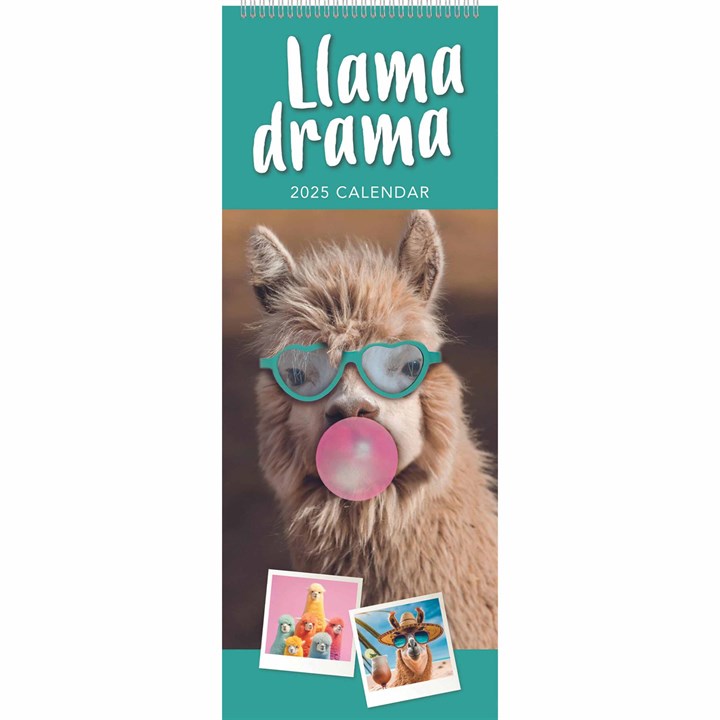 Llama Drama Slim Calendar 2025